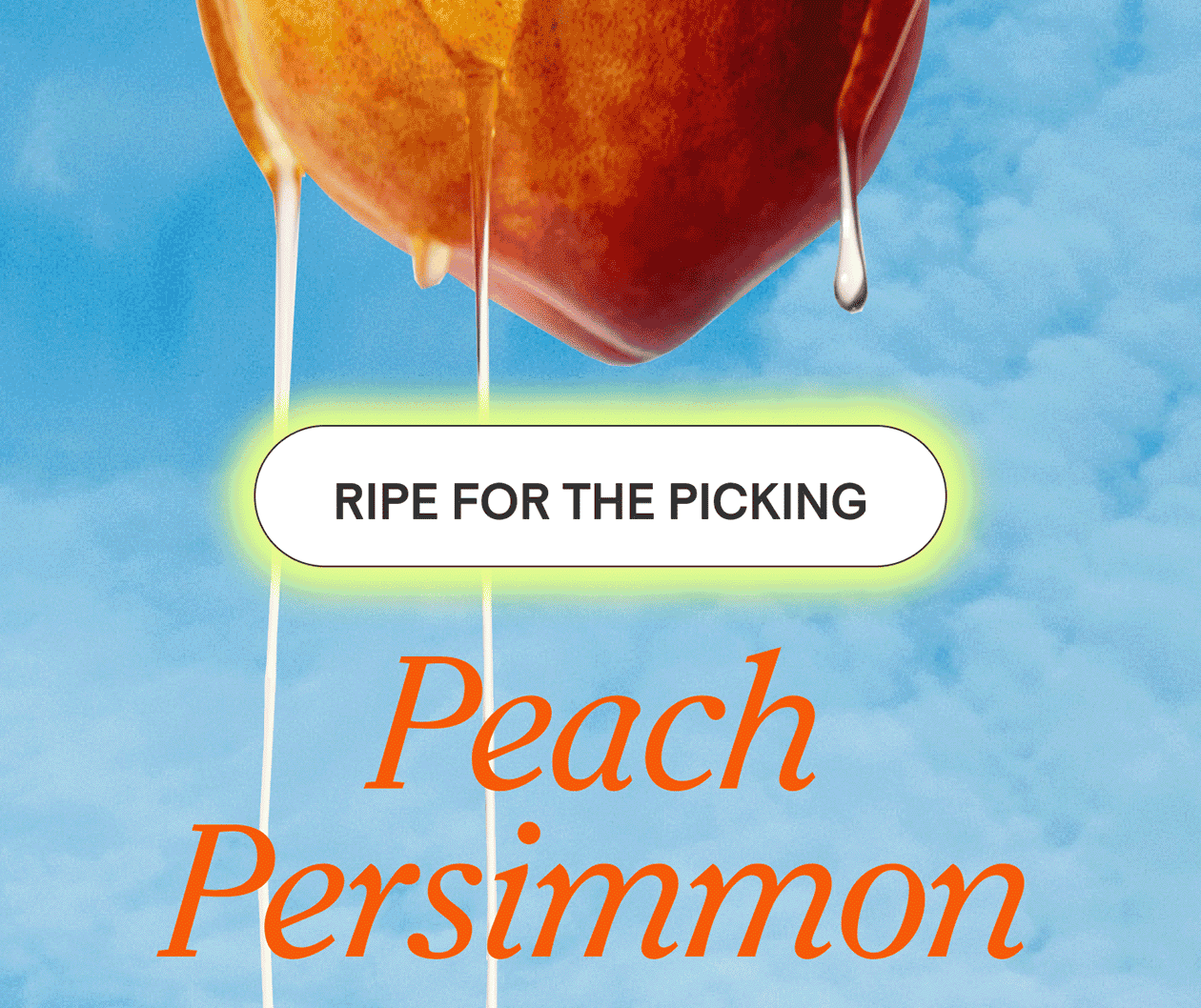 Peach Persimmon